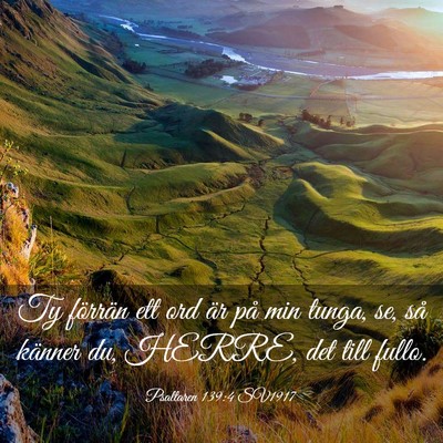 Picture 03 - Psaltaren 139:4 SV1917 - Ty förrän ett ord är på min tunga, se, så - Bible Verse Picture