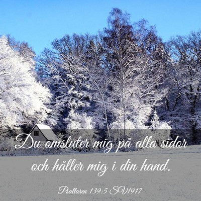 Picture 03 - Psaltaren 139:5 SV1917 - Du omsluter mig på alla sidor och håller mig i - Bible Verse Picture