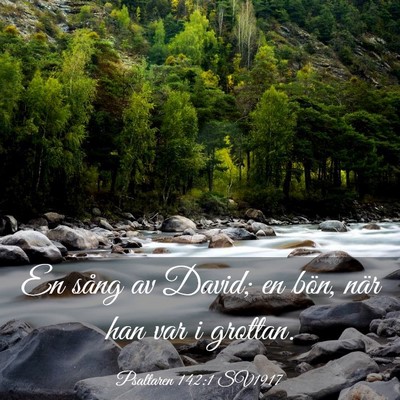 Picture 03 - Psaltaren 142:1 SV1917 - En sång av David; en bön, när han var i - Bible Verse Picture