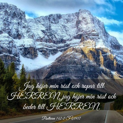 Picture 03 - Psaltaren 142:2 SV1917 - Jag höjer min röst och ropar till HERREN, jag - Bible Verse Picture