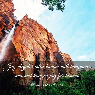 Picture 03 - Psaltaren 142:3 SV1917 - Jag utgjuter inför honom mitt bekymmer, min nöd - Bible Verse Picture