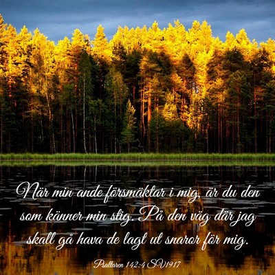 Picture 03 - Psaltaren 142:4 SV1917 - När min ande försmäktar i mig, är du den som - Bible Verse Picture