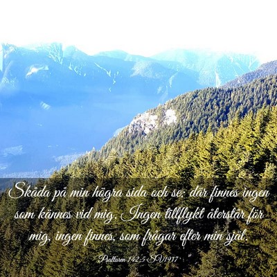 Picture 03 - Psaltaren 142:5 SV1917 - Skåda på min högra sida och se: där finnes - Bible Verse Picture