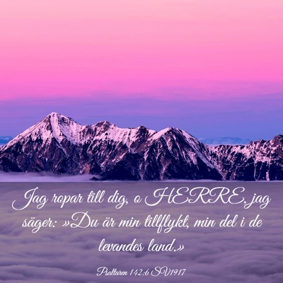 Picture 03 - Psaltaren 142:6 SV1917 - Jag ropar till dig, o HERRE, jag säger: »Du är - Bible Verse Picture