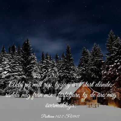 Picture 03 - Psaltaren 142:7 SV1917 - Akta på mitt rop, ty jag är i stort elände; - Bible Verse Picture