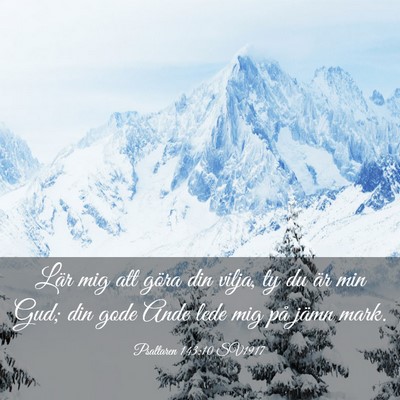 Picture 03 - Psaltaren 143:10 SV1917 - Lär mig att göra din vilja, ty du är min Gud; - Bible Verse Picture