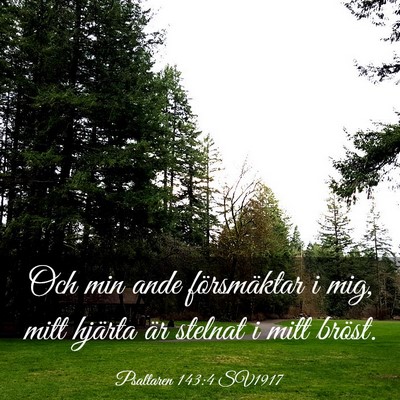 Picture 03 - Psaltaren 143:4 SV1917 - Och min ande försmäktar i mig, mitt hjärta är - Bible Verse Picture