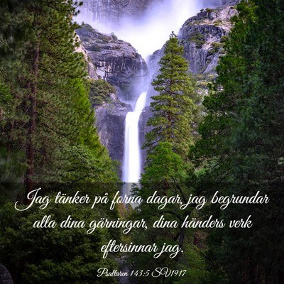 Picture 03 - Psaltaren 143:5 SV1917 - Jag tänker på forna dagar, jag begrundar alla - Bible Verse Picture