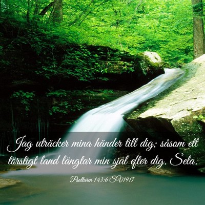 Picture 03 - Psaltaren 143:6 SV1917 - Jag uträcker mina händer till dig; såsom ett - Bible Verse Picture