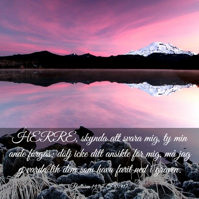 Picture 03 - Psaltaren 143:7 SV1917 - HERRE, skynda att svara mig, ty min ande - Bible Verse Picture