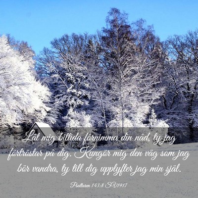 Picture 03 - Psaltaren 143:8 SV1917 - Låt mig bittida förnimma din nåd, ty jag - Bible Verse Picture