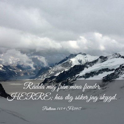 Picture 03 - Psaltaren 143:9 SV1917 - Rädda mig från mina fiender, HERRE; hos dig - Bible Verse Picture