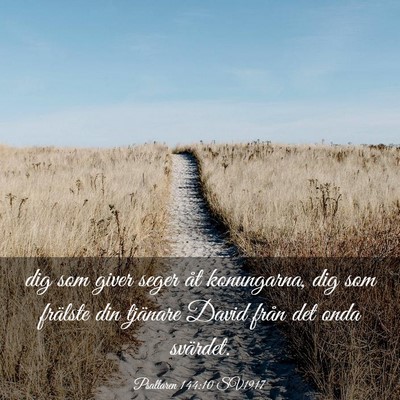 Picture 03 - Psaltaren 144:10 SV1917 - dig som giver seger åt konungarna, dig som - Bible Verse Picture