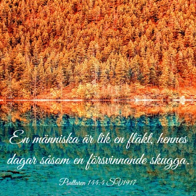 Picture 03 - Psaltaren 144:4 SV1917 - En människa är lik en fläkt, hennes dagar - Bible Verse Picture