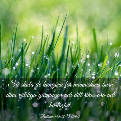 Picture 03 - Psaltaren 145:12 SV1917 - Så skola de kungöra för människors barn dina - Bible Verse Picture