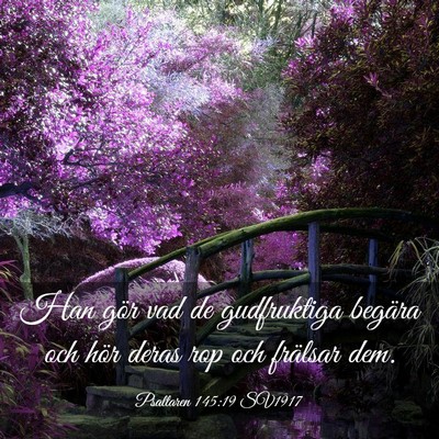 Picture 03 - Psaltaren 145:19 SV1917 - Han gör vad de gudfruktiga begära och hör - Bible Verse Picture
