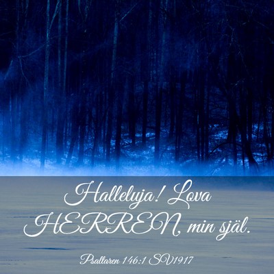 Picture 03 - Psaltaren 146:1 SV1917 - Halleluja! Lova HERREN, min - Bible Verse Picture