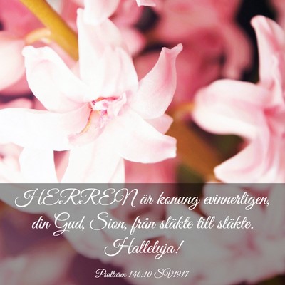 Picture 03 - Psaltaren 146:10 SV1917 - HERREN är konung evinnerligen, din Gud, Sion, - Bible Verse Picture
