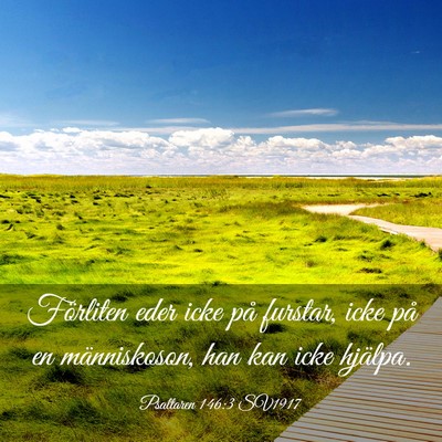 Picture 03 - Psaltaren 146:3 SV1917 - Förliten eder icke på furstar, icke på en - Bible Verse Picture