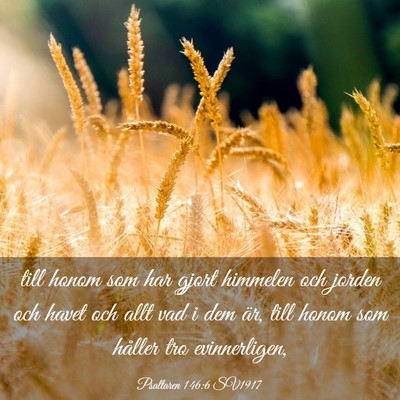 Picture 03 - Psaltaren 146:6 SV1917 - till honom som har gjort himmelen och jorden och - Bible Verse Picture