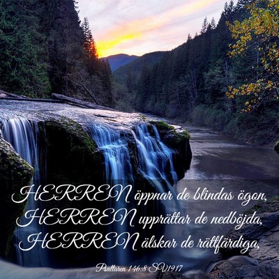 Picture 03 - Psaltaren 146:8 SV1917 - HERREN öppnar de blindas ögon, HERREN - Bible Verse Picture