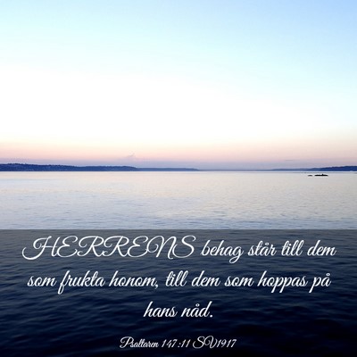 Picture 03 - Psaltaren 147:11 SV1917 - HERRENS behag står till dem som frukta honom, - Bible Verse Picture