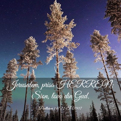 Picture 03 - Psaltaren 147:12 SV1917 - Jerusalem, prisa HERREN; Sion, lova din - Bible Verse Picture