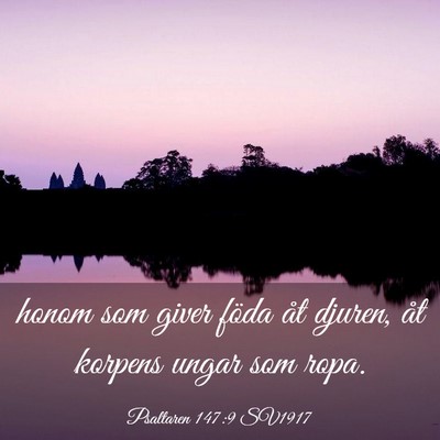 Picture 03 - Psaltaren 147:9 SV1917 - honom som giver föda åt djuren, åt korpens - Bible Verse Picture