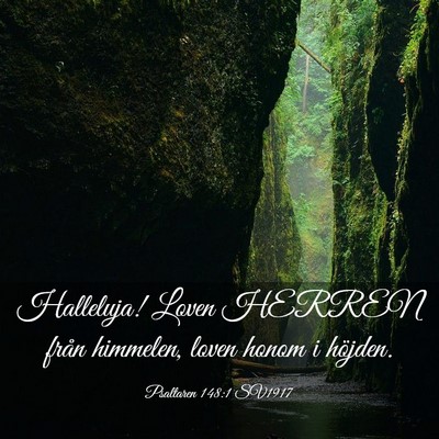 Picture 03 - Psaltaren 148:1 SV1917 - Halleluja! Loven HERREN från himmelen, loven - Bible Verse Picture