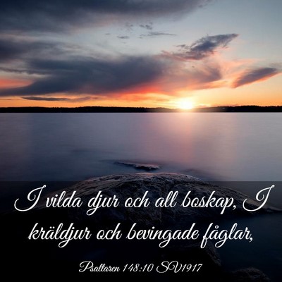 Picture 03 - Psaltaren 148:10 SV1917 - I vilda djur och all boskap, I kräldjur och - Bible Verse Picture