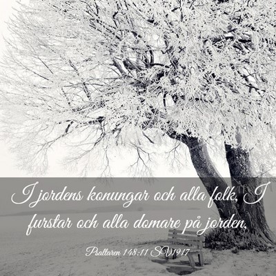 Picture 03 - Psaltaren 148:11 SV1917 - I jordens konungar och alla folk, I furstar och - Bible Verse Picture