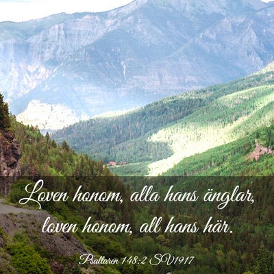 Picture 03 - Psaltaren 148:2 SV1917 - Loven honom, alla hans änglar, loven honom, all - Bible Verse Picture