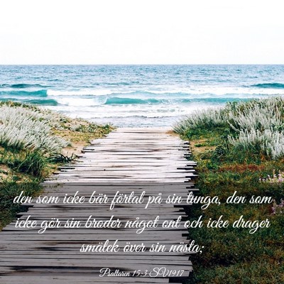 Picture 03 - Psaltaren 15:3 SV1917 - den som icke bär förtal på sin tunga, den som - Bible Verse Picture