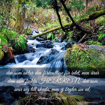 Picture 03 - Psaltaren 15:4 SV1917 - den som aktar den förkastlige för intet, men - Bible Verse Picture