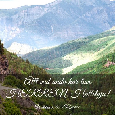 Picture 03 - Psaltaren 150:6 SV1917 - Allt vad anda har love HERREN. - Bible Verse Picture