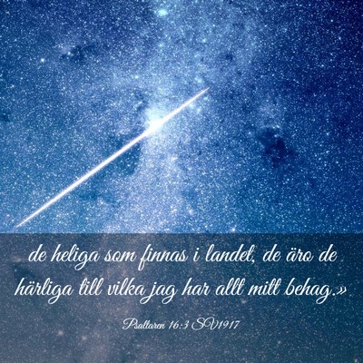 Picture 03 - Psaltaren 16:3 SV1917 - de heliga som finnas i landet, de äro de - Bible Verse Picture