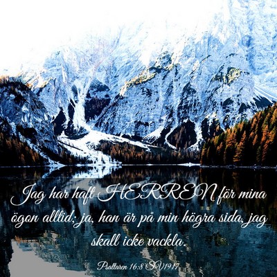 Picture 03 - Psaltaren 16:8 SV1917 - Jag har haft HERREN för mina ögon alltid; ja, - Bible Verse Picture