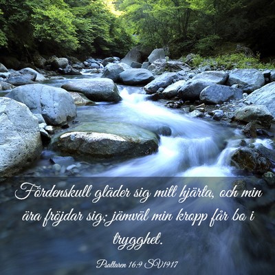 Picture 03 - Psaltaren 16:9 SV1917 - Fördenskull gläder sig mitt hjärta, och min - Bible Verse Picture