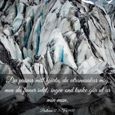 Picture 03 - Psaltaren 17:3 SV1917 - Du prövar mitt hjärta, du utrannsakar mig, men - Bible Verse Picture