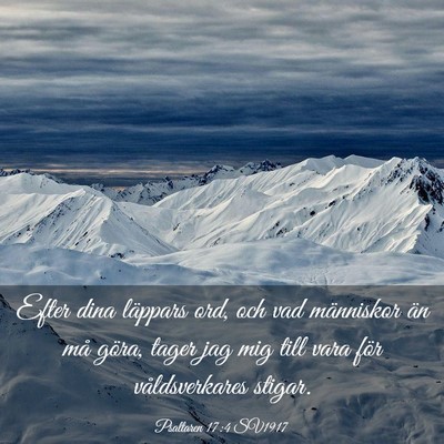 Picture 03 - Psaltaren 17:4 SV1917 - Efter dina läppars ord, och vad människor än - Bible Verse Picture