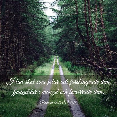 Picture 03 - Psaltaren 18:15 SV1917 - Han sköt sina pilar och förskingrade dem, - Bible Verse Picture