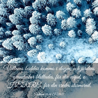 Picture 03 - Psaltaren 18:16 SV1917 - Vattnens bäddar kommo i dagen, och jordens - Bible Verse Picture