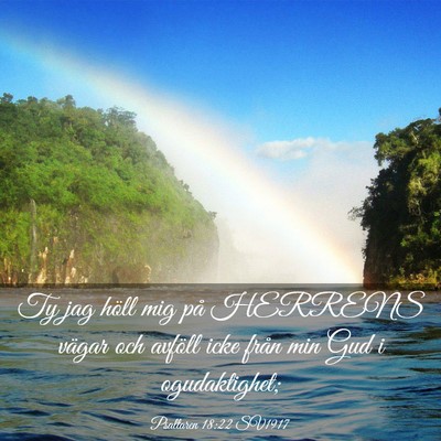 Picture 03 - Psaltaren 18:22 SV1917 - Ty jag höll mig på HERRENS vägar och avföll - Bible Verse Picture
