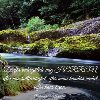 Picture 03 - Psaltaren 18:25 SV1917 - Därför vedergällde mig HERREN efter min - Bible Verse Picture