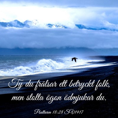 Picture 03 - Psaltaren 18:28 SV1917 - Ty du frälsar ett betryckt folk, men stolta - Bible Verse Picture