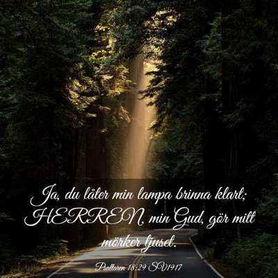 Picture 03 - Psaltaren 18:29 SV1917 - Ja, du låter min lampa brinna klart; HERREN, min - Bible Verse Picture