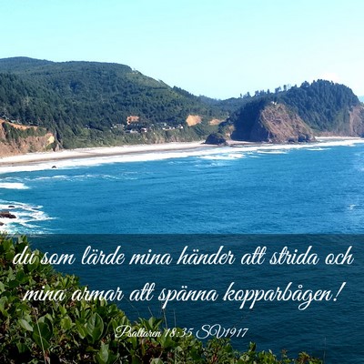 Picture 03 - Psaltaren 18:35 SV1917 - du som lärde mina händer att strida och mina - Bible Verse Picture
