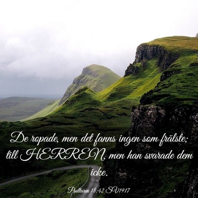 Picture 03 - Psaltaren 18:42 SV1917 - De ropade, men det fanns ingen som frälste; till - Bible Verse Picture