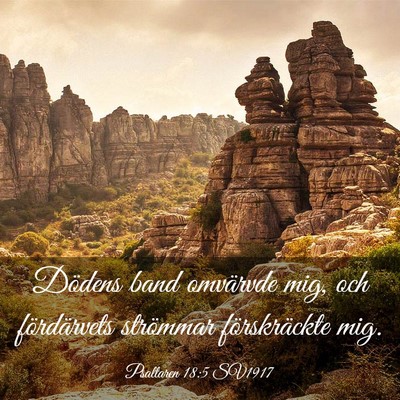 Picture 03 - Psaltaren 18:5 SV1917 - Dödens band omvärvde mig, och fördärvets - Bible Verse Picture