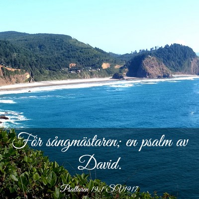 Picture 03 - Psaltaren 19:1 SV1917 - För sångmästaren; en psalm av - Bible Verse Picture